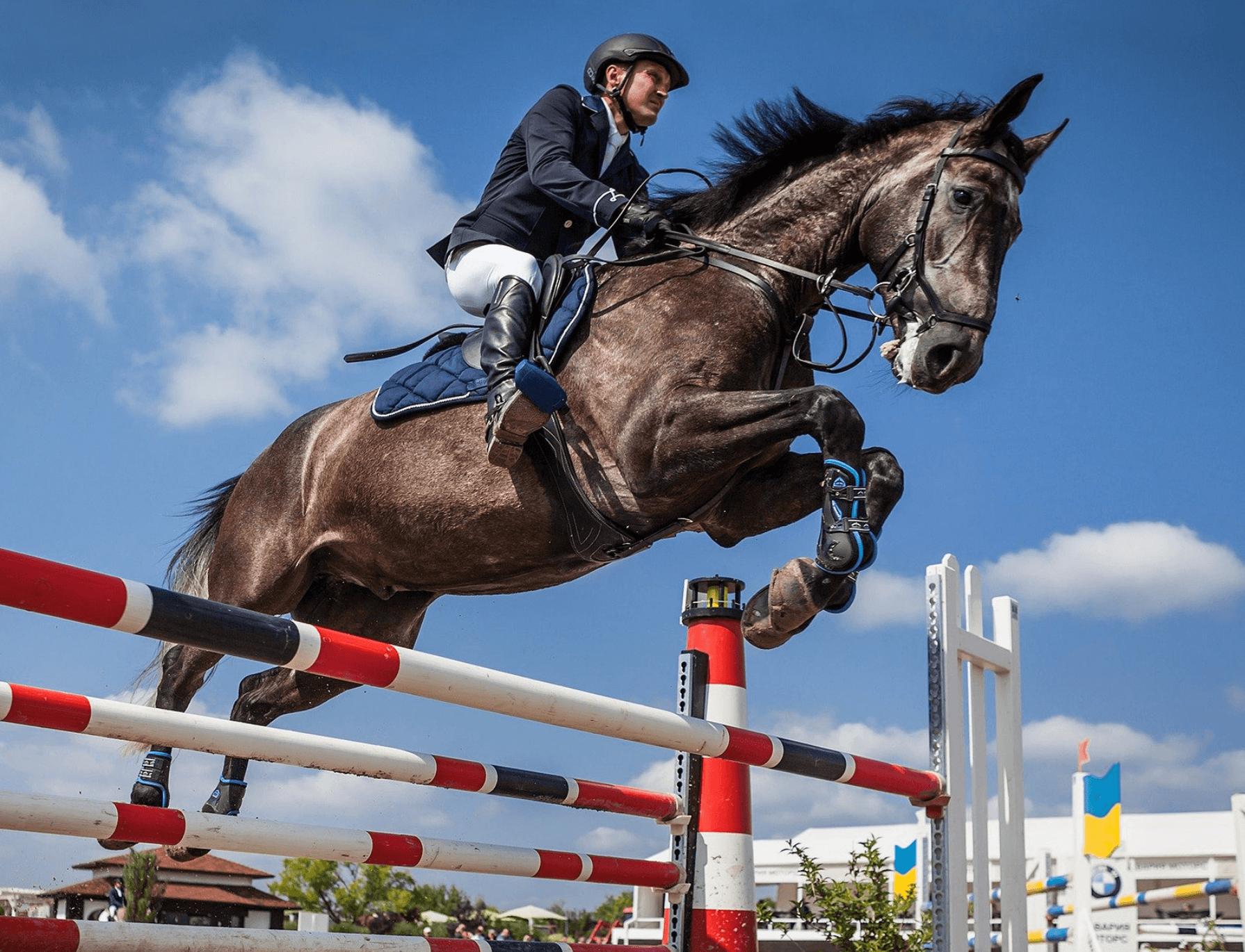 3 motivi per cui scegliere gli Aminoacidi per il tuo cavallo sportivo