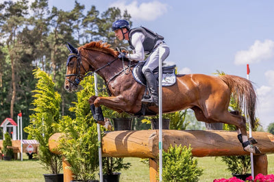 Stress ossidativo nel cavallo sportivo: cos'è e come gestirlo