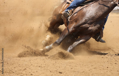 L'importanza dei sali minerali per il Barrel Racing