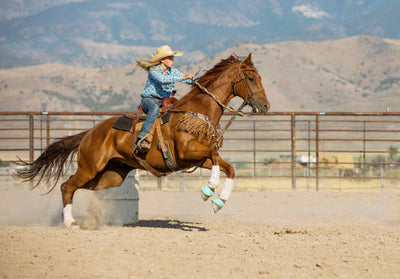 L'importanza dei sali minerali per il Barrel Racing