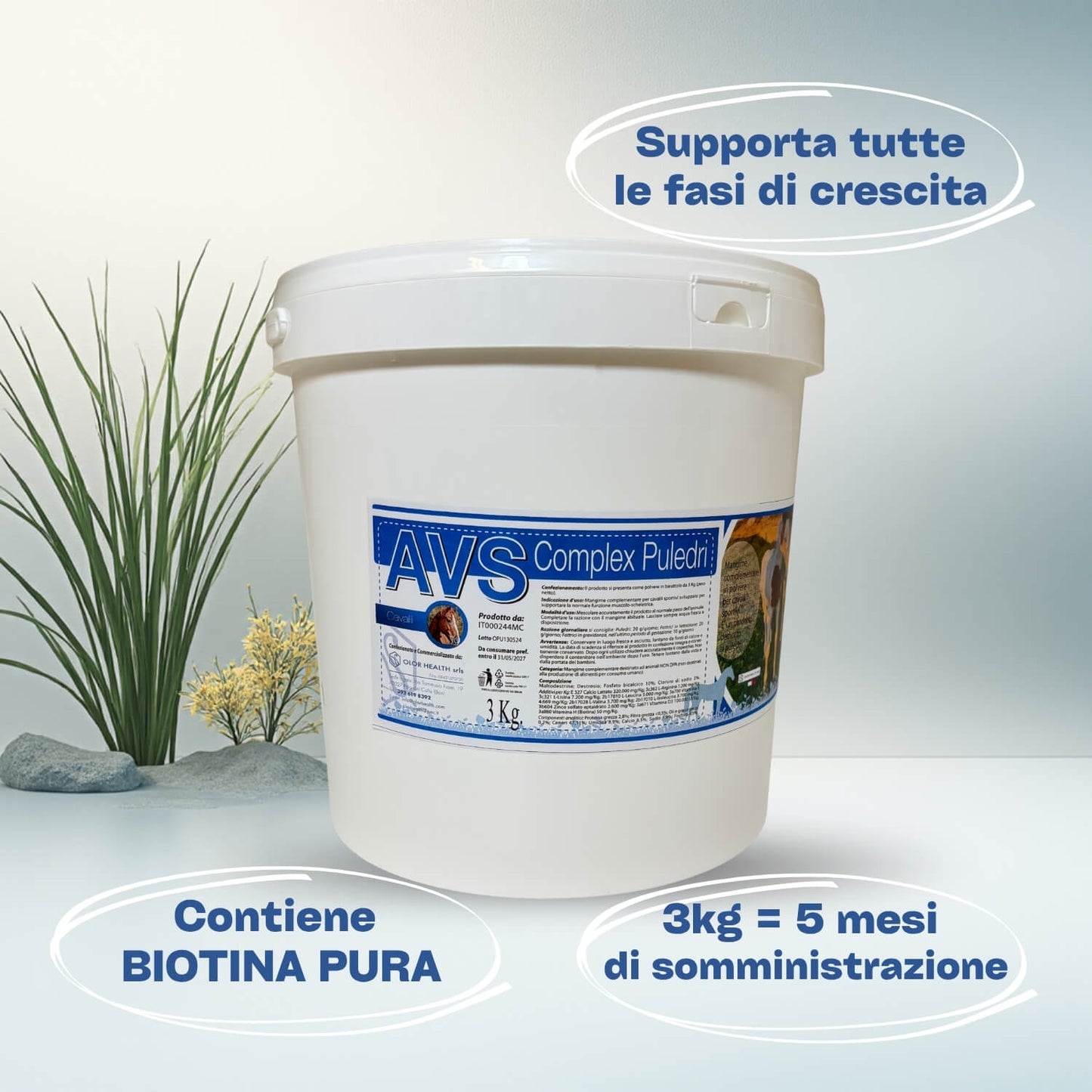 AVS Complex Puledri 3kg