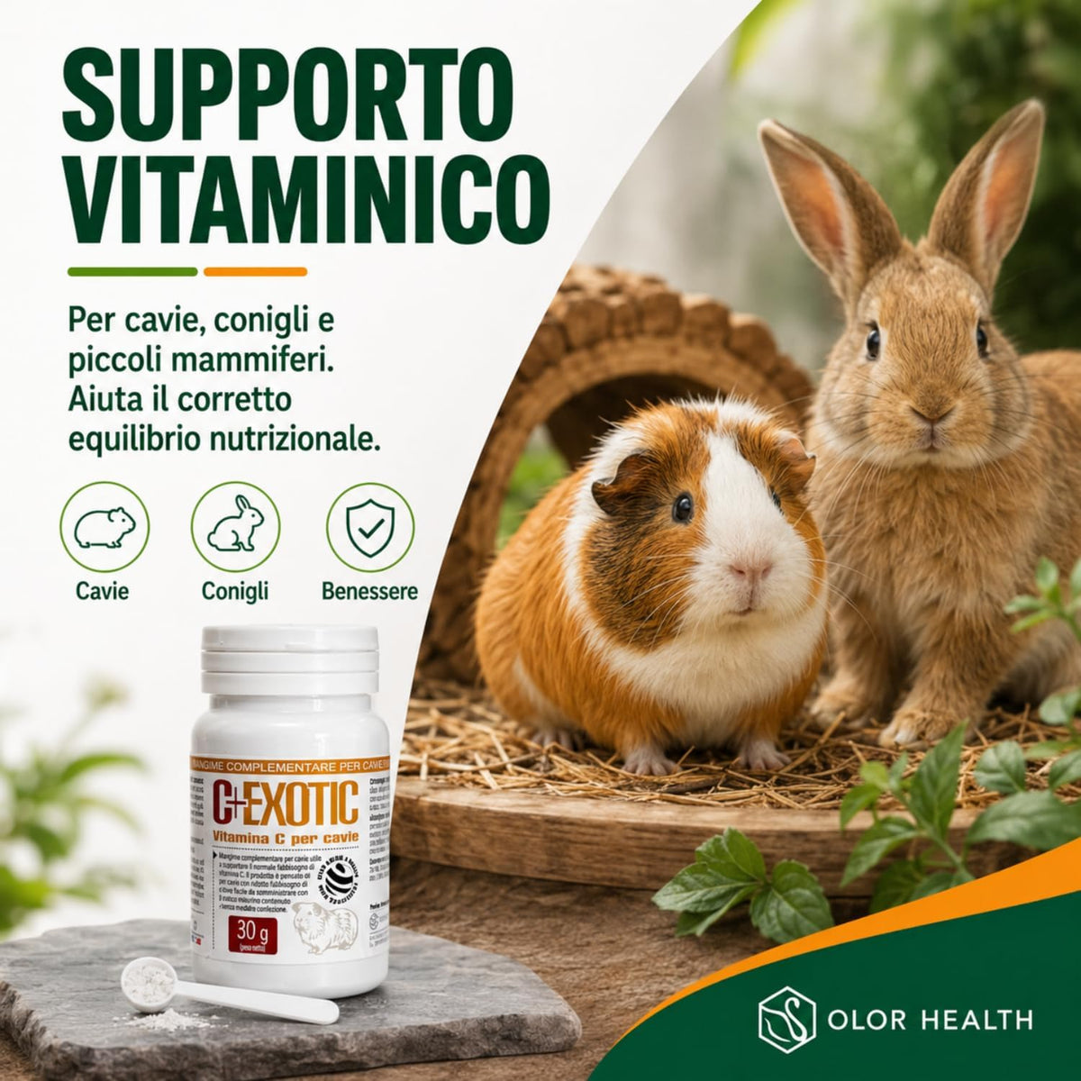 C+ Exotic Vitamina C
