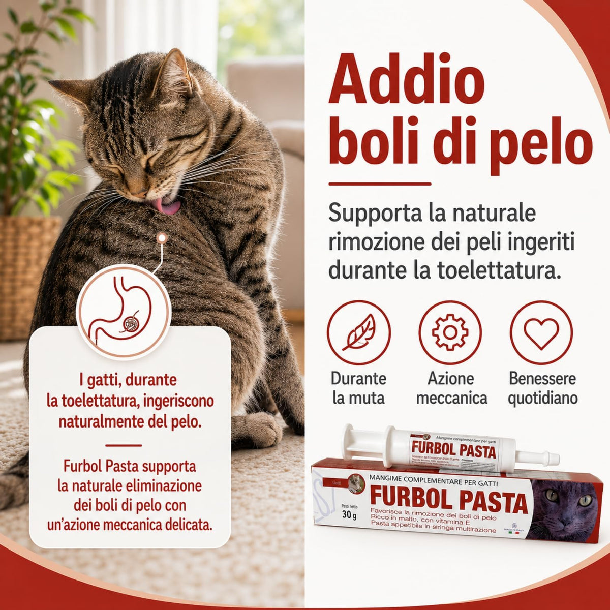 Furbol pasta gatti
