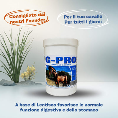 G PRO formula cavallo 300g