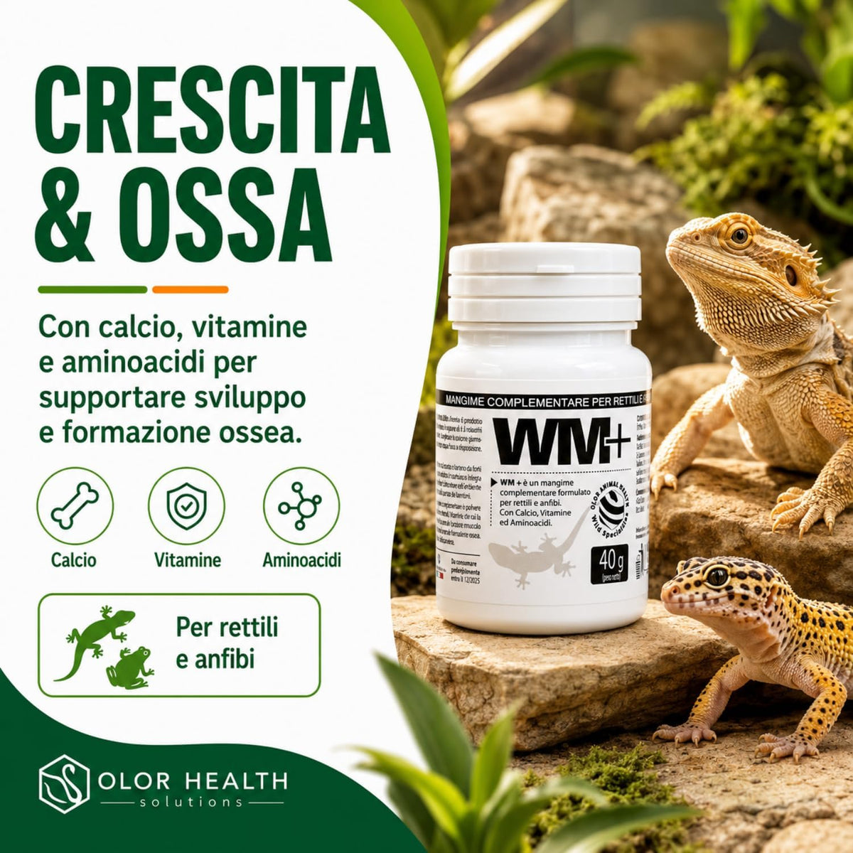WM Plus rettili e anfibi