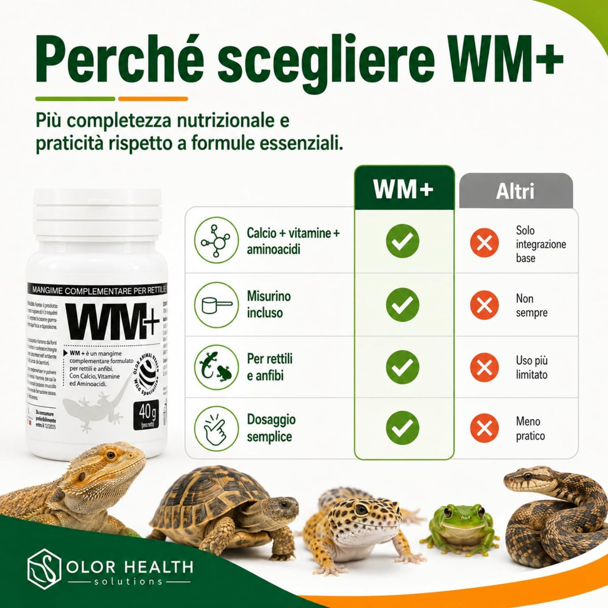 WM Plus rettili e anfibi