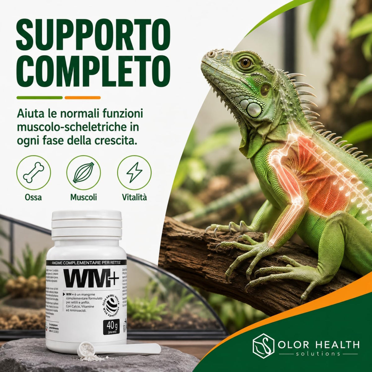 WM Plus rettili e anfibi