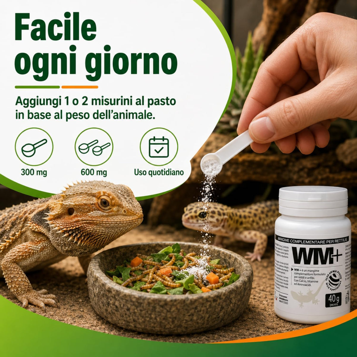 WM Plus rettili e anfibi